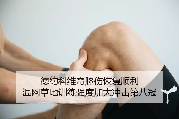德约科维奇膝伤恢复顺利 温网草地训练强度加大冲击第八冠